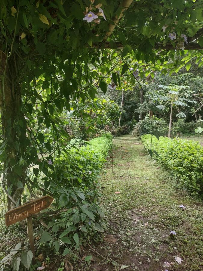 Finca Mystica Merida ภายนอก รูปภาพ