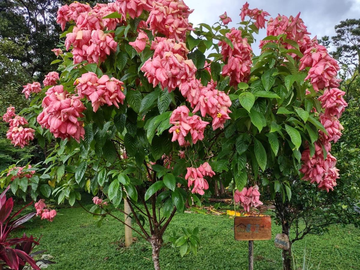 Finca Mystica Merida ภายนอก รูปภาพ