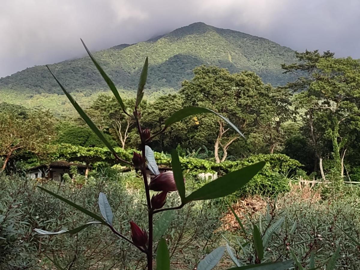 Finca Mystica Merida ภายนอก รูปภาพ