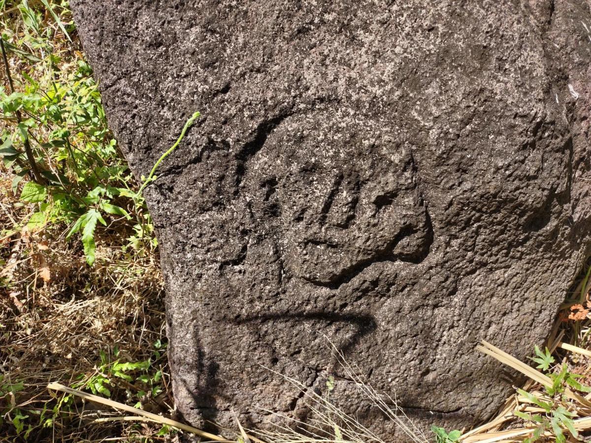 Finca Mystica Merida ภายนอก รูปภาพ