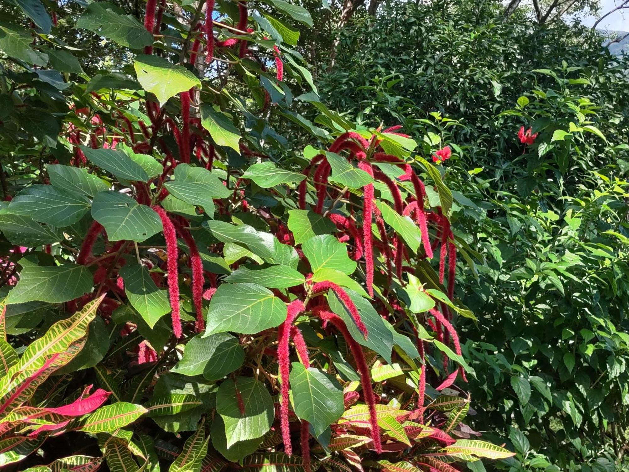 Finca Mystica Merida ภายนอก รูปภาพ