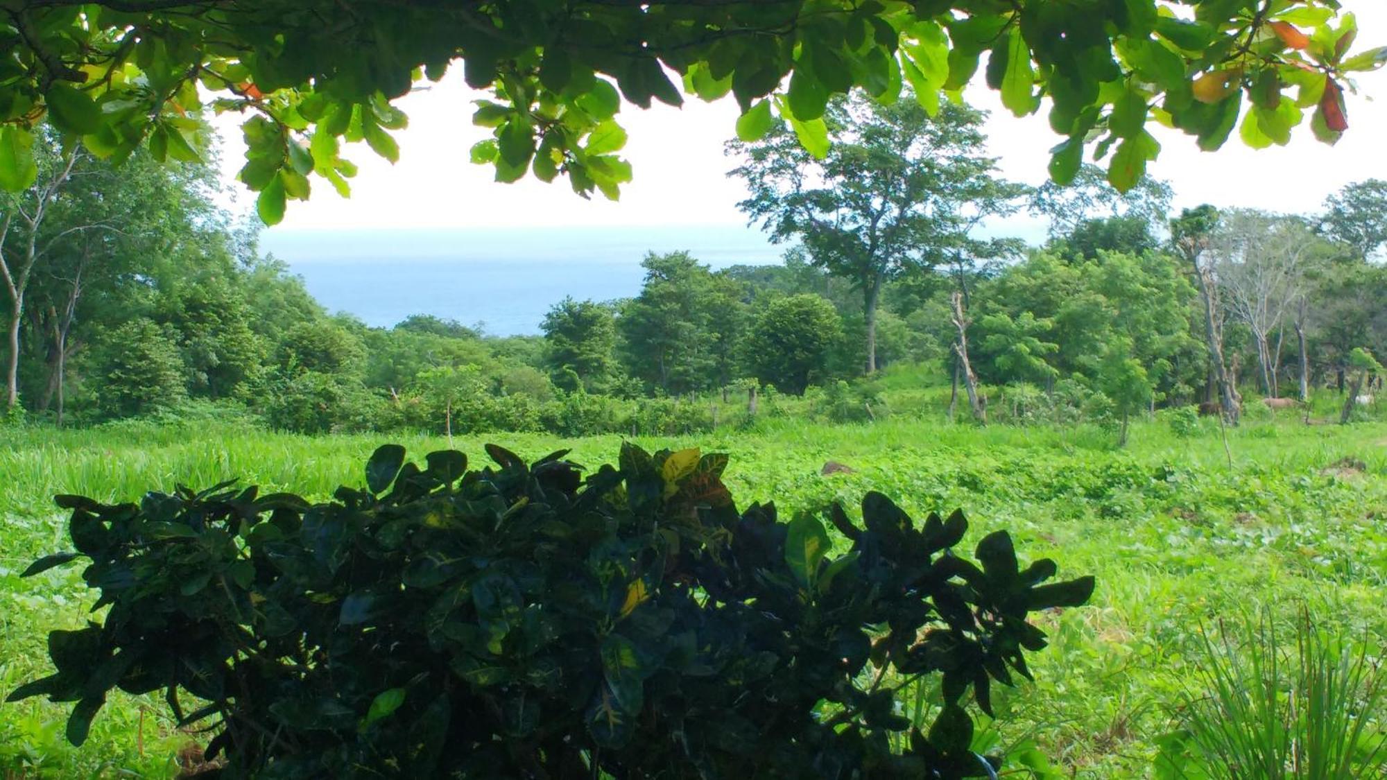 Finca Mystica Merida ห้อง รูปภาพ