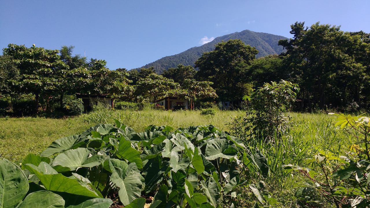 Finca Mystica Merida ภายนอก รูปภาพ