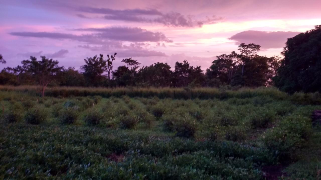 Finca Mystica Merida ภายนอก รูปภาพ